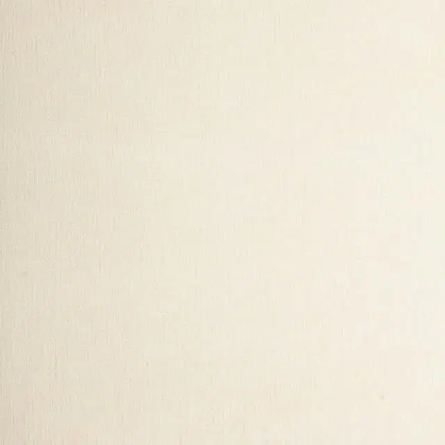 WASHED - 100 Blanche