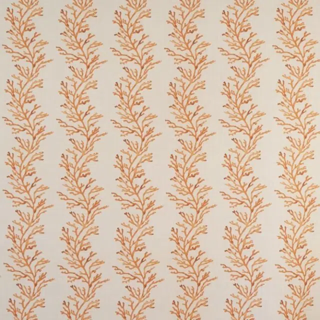 CORALLO OUT - 05 Arancia