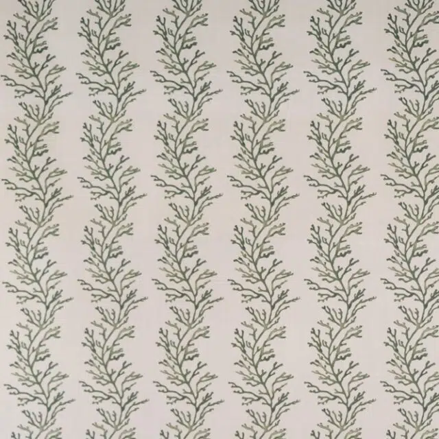 CORALLO OUT - 01 Green