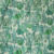 02 Alga