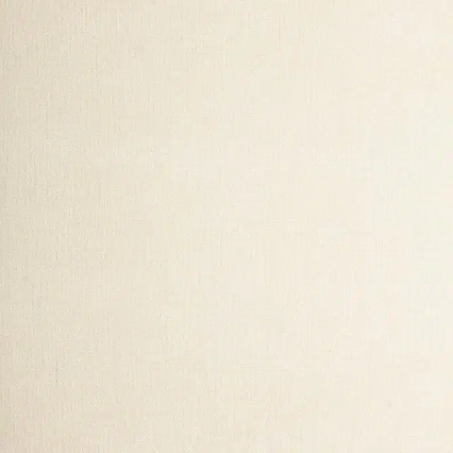 WASHED - 100 Blanche