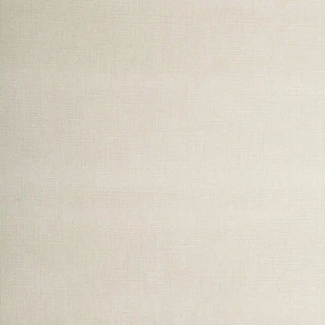 WASHED - 401 Ante
