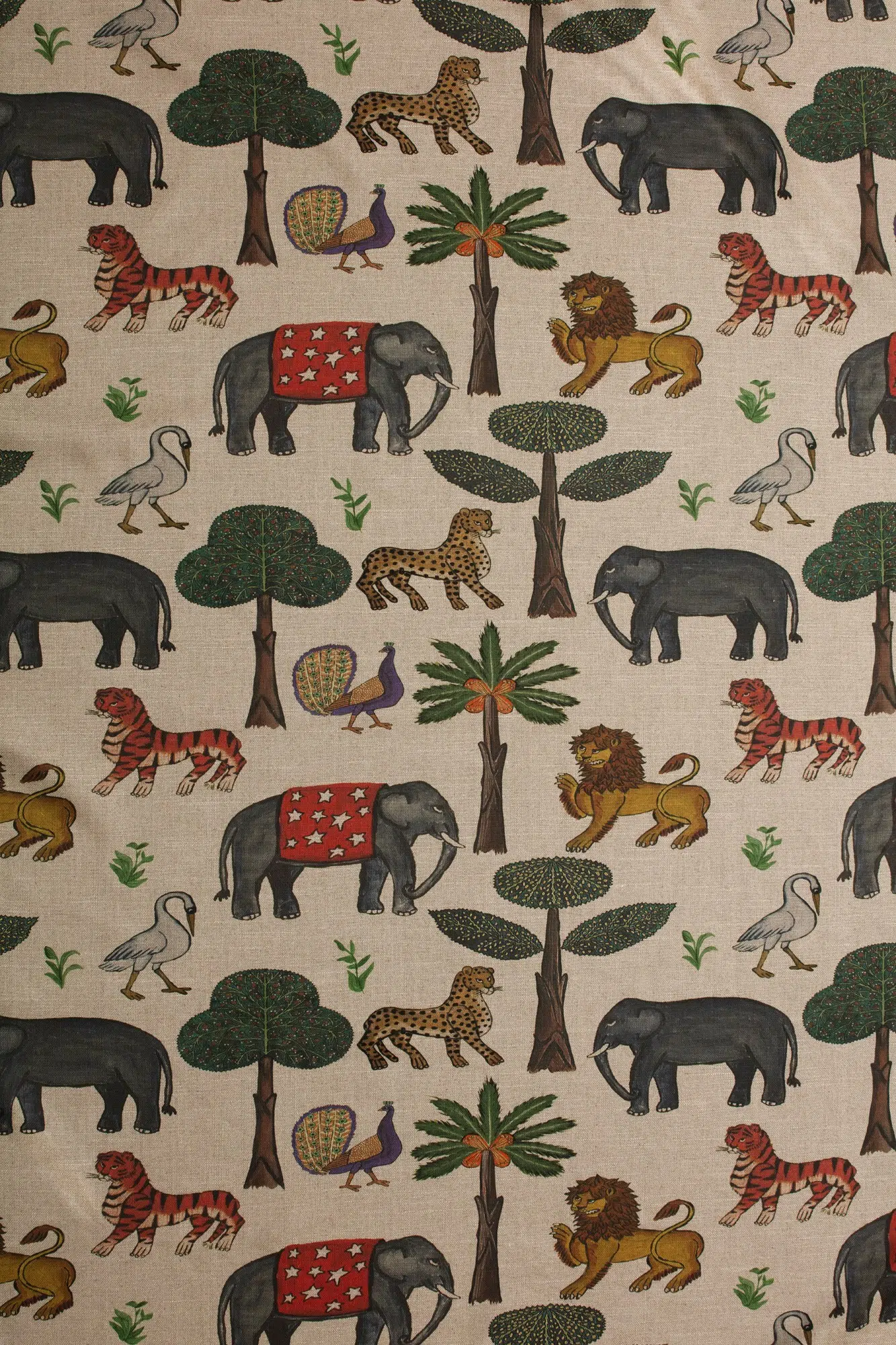 BURUNDI 03 Savannah F9A0398.jpg