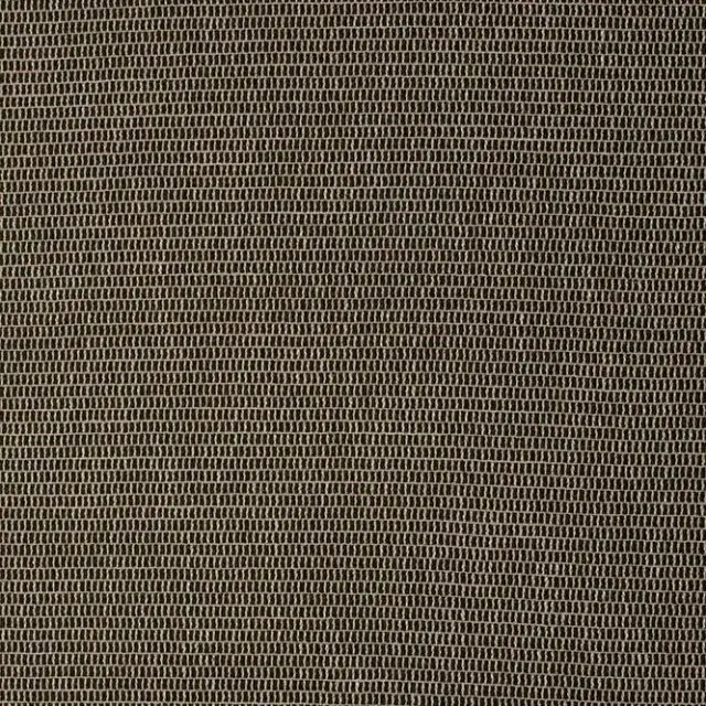 DONEGAL - 01 Olive