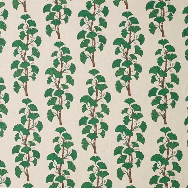 GINKGO - 02 Green