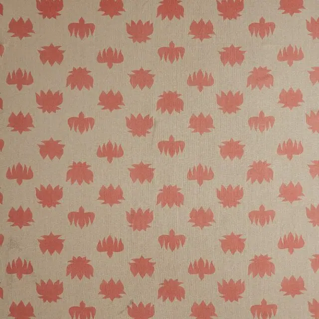 NELUMBO - 01 Coral