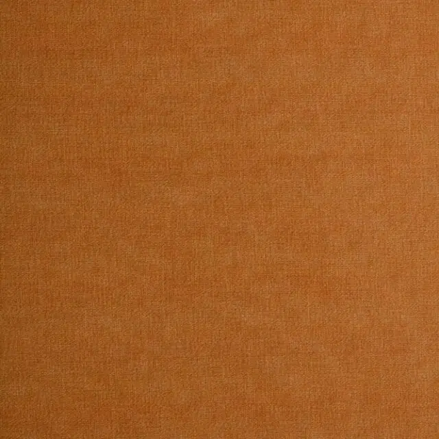 SANCHO - 04 Camel