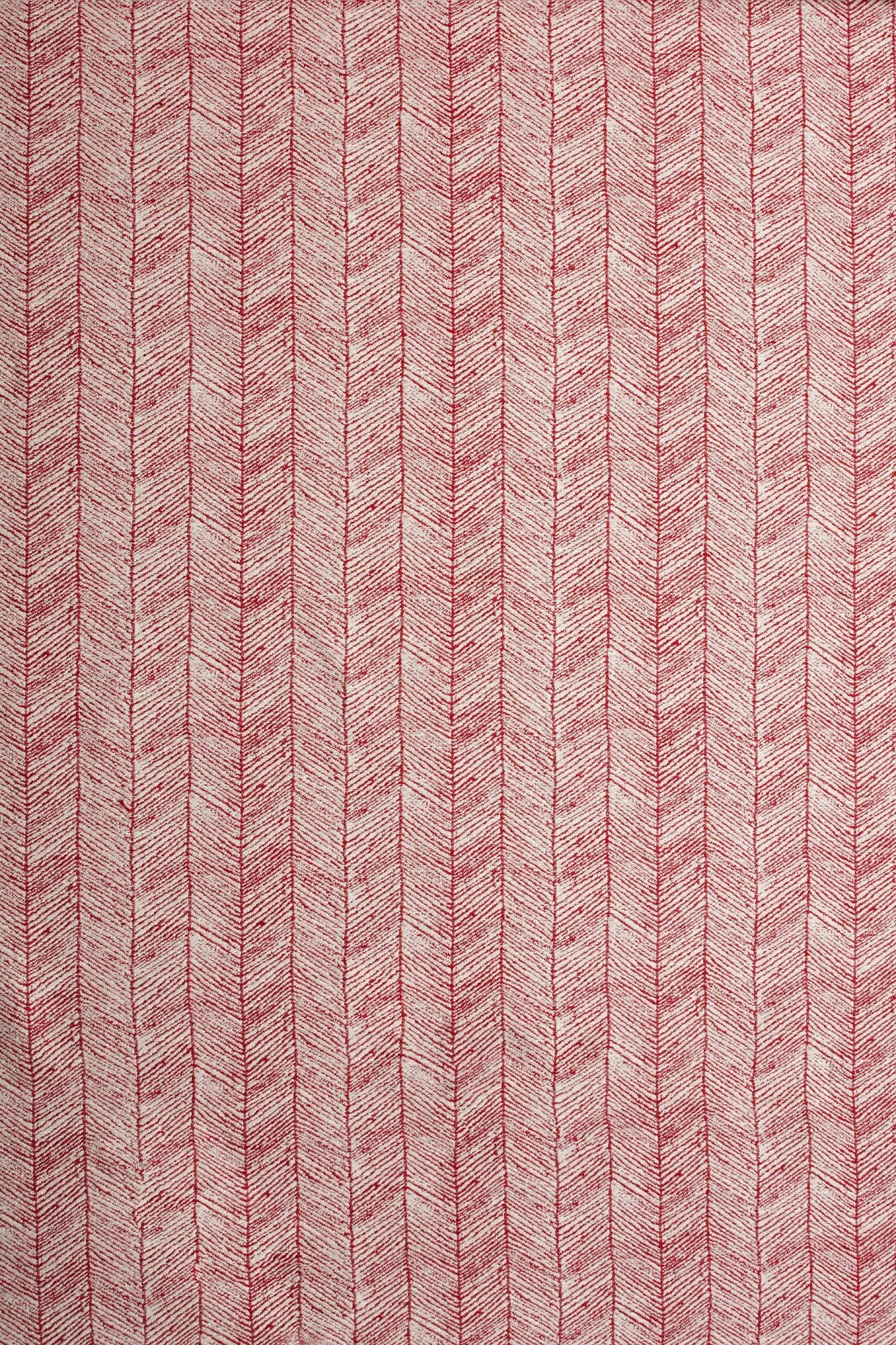 ZIGGY 121 Red F9A0519.jpg