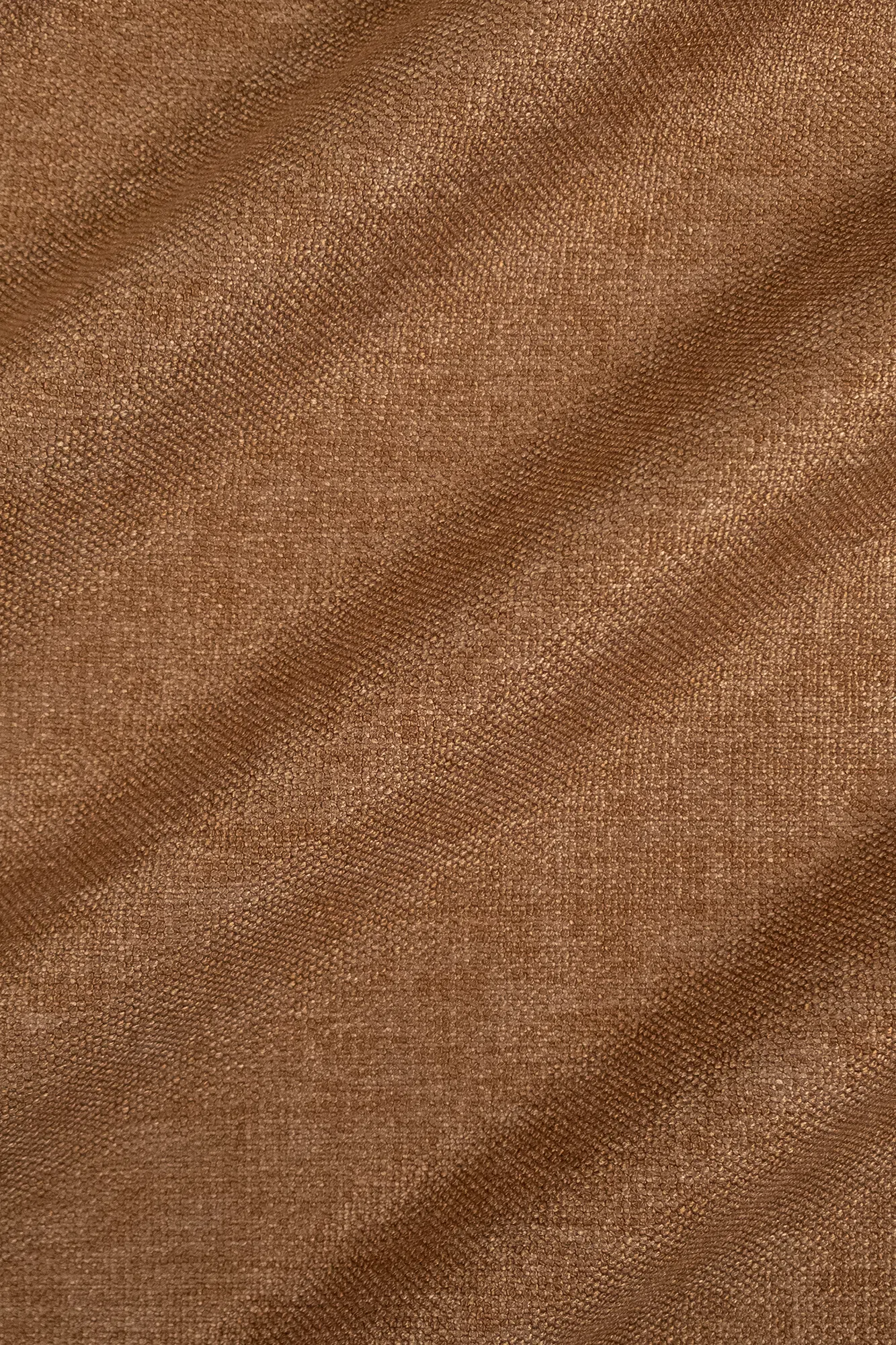 alameda411orodscf1916.png