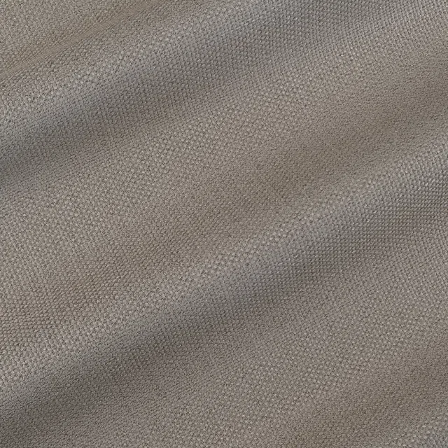 AUDREY - 406 Ante