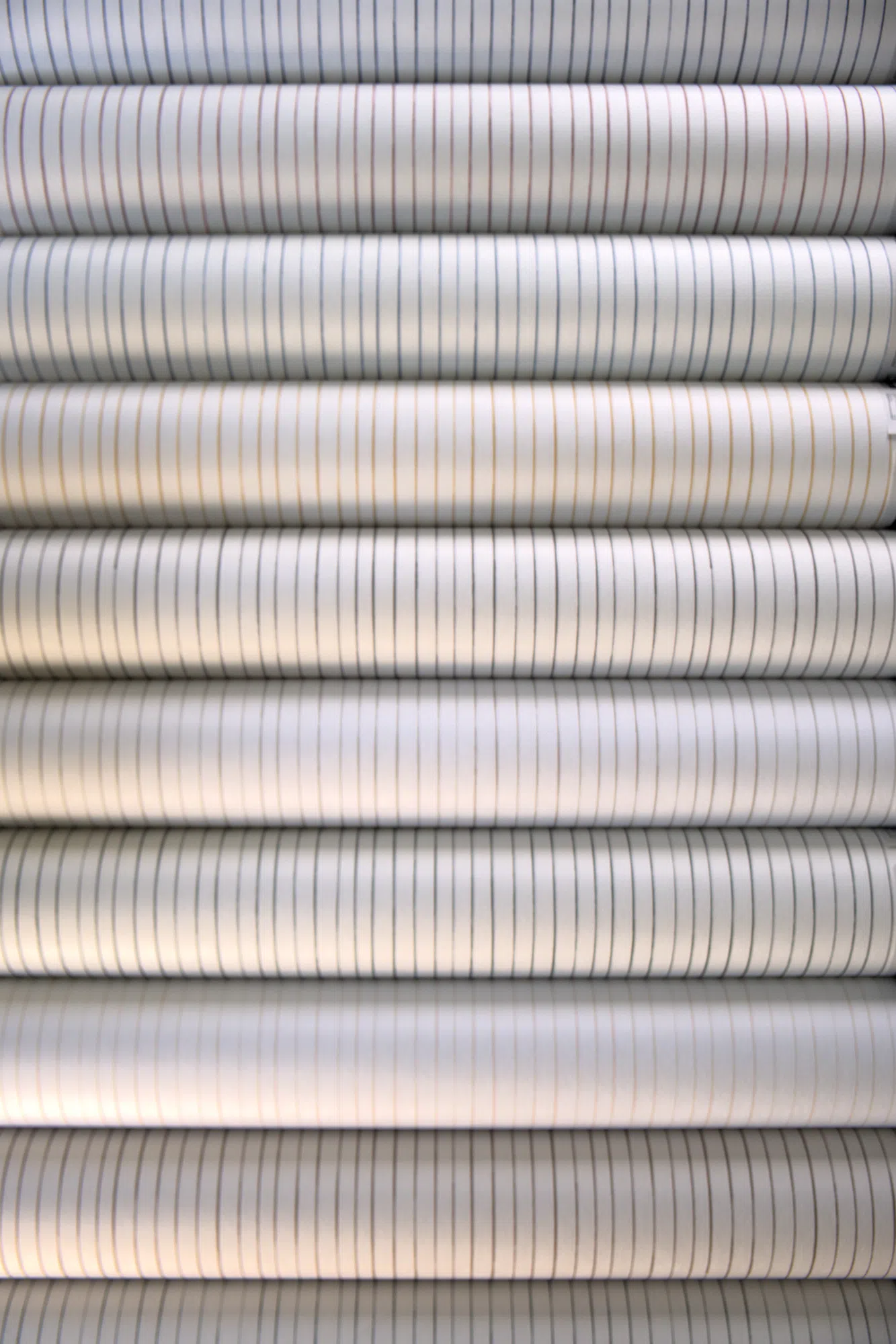 calathearolls.png
