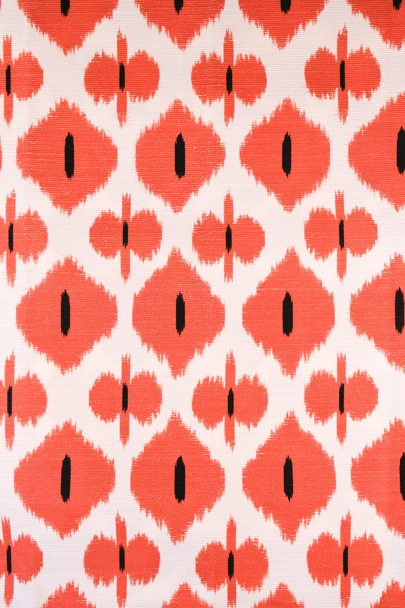 caspiancoral2.png