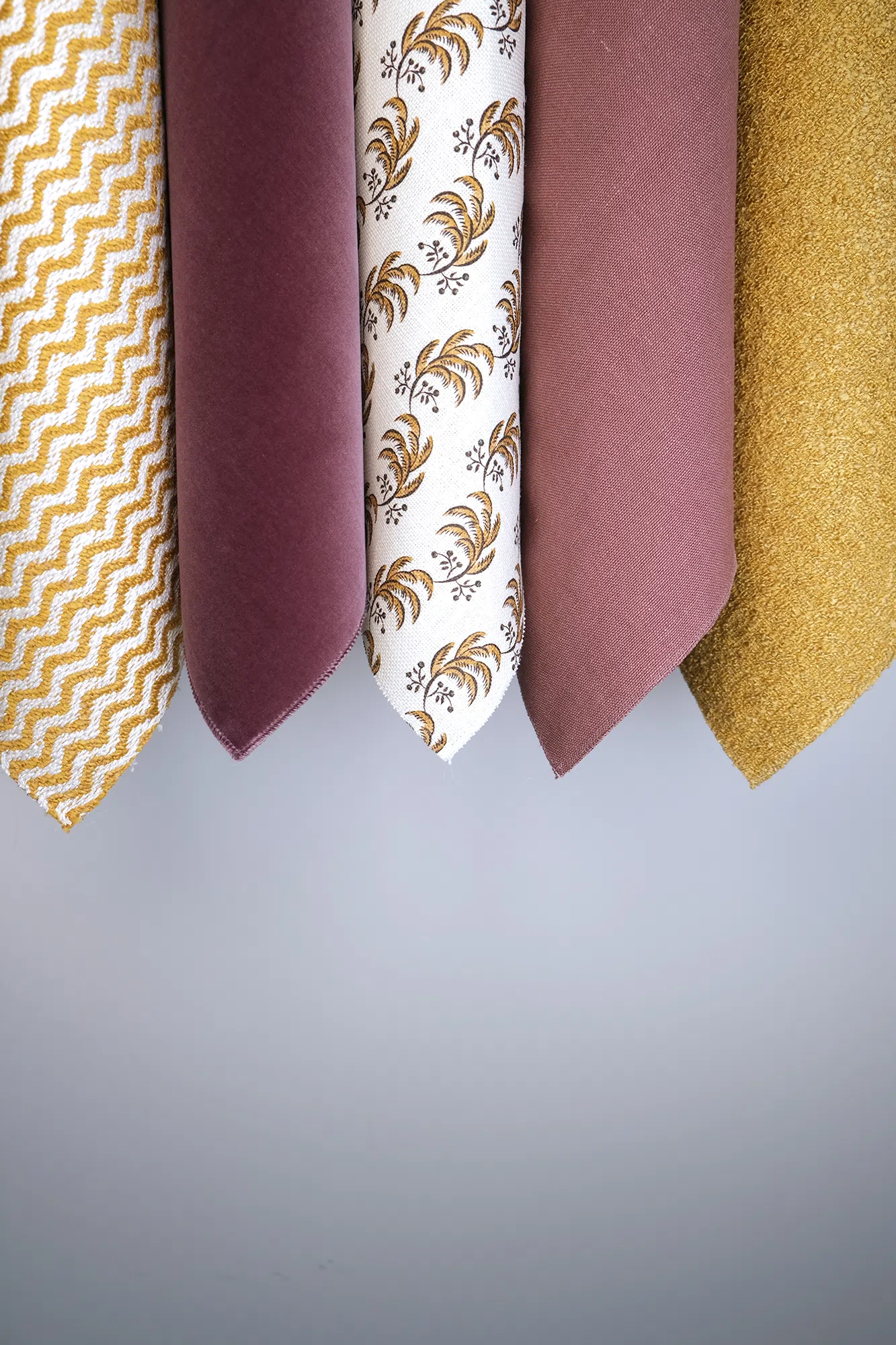 celosia04ochre.png