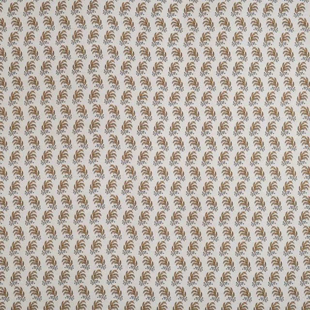 CELOSIA - 04 Ochre
