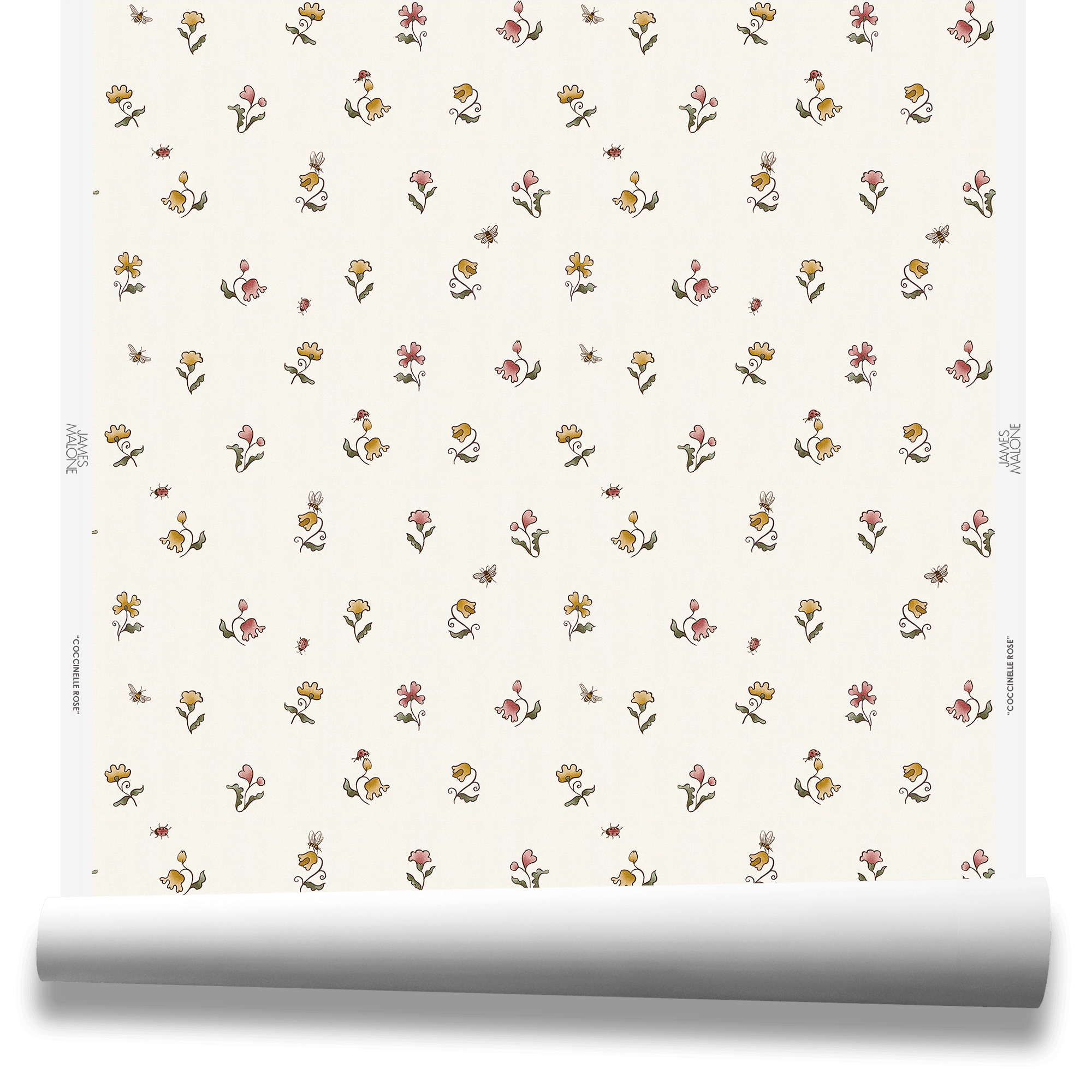 coccinellerose