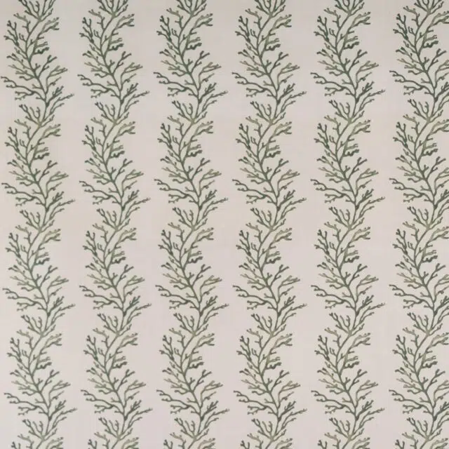 CORALLO OUT - 01 Green