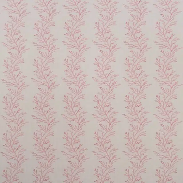 CORALLO OUT - 06 Pink