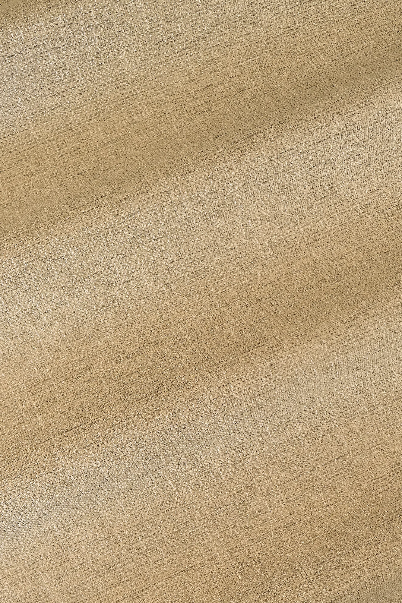 drake403bronzedscf2320.png