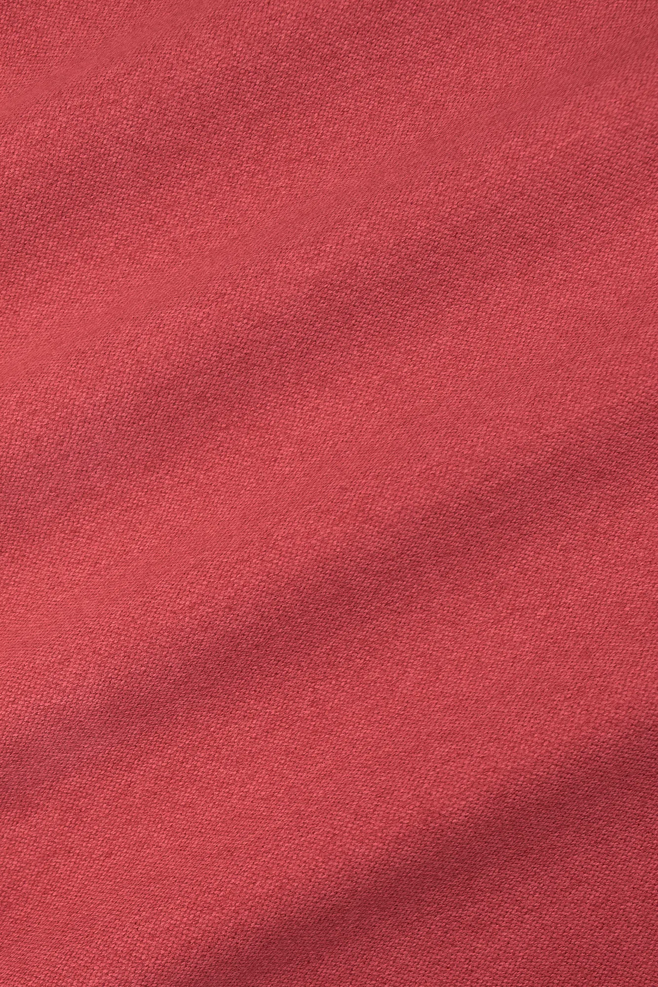 hercules303chardonaydscf2857.png