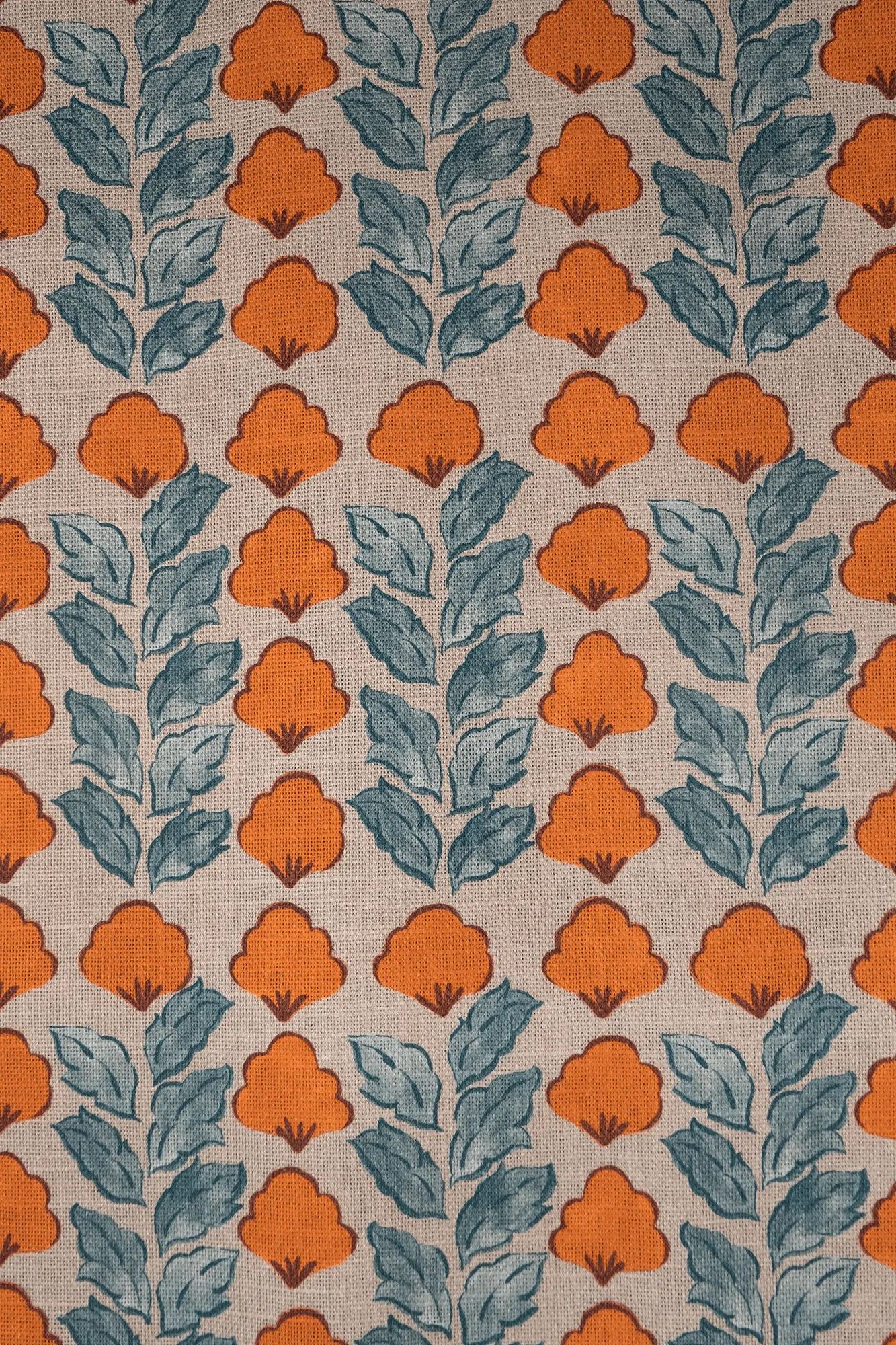 jaipur01pclementina.png