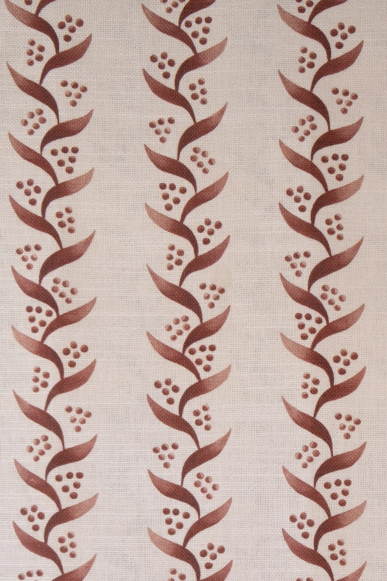 latticerougedscf1479.png
