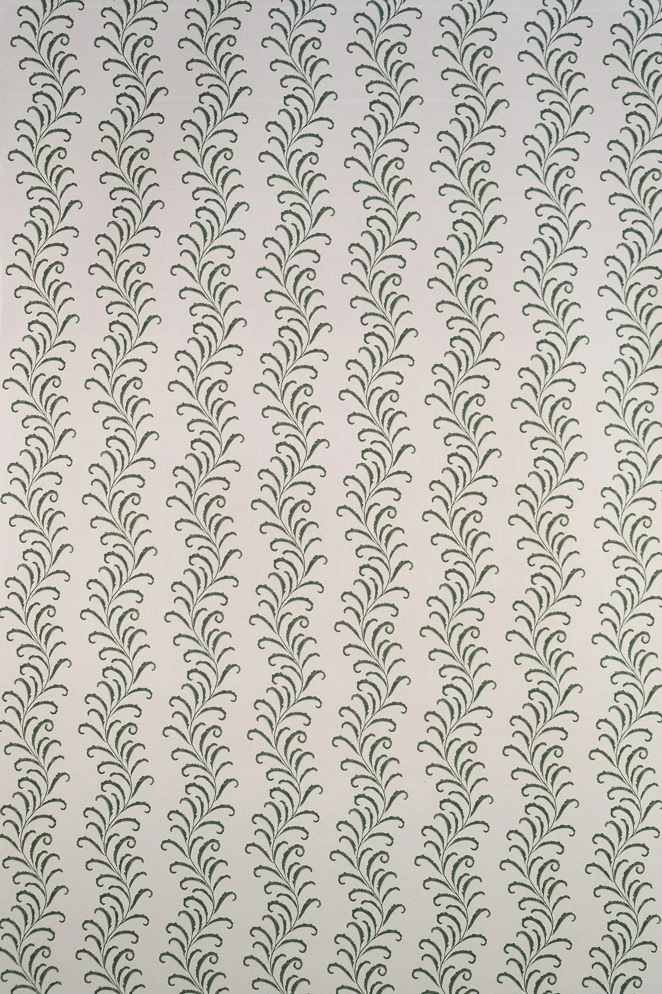 littllelou07pinsapo.jpg