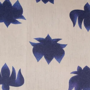 nelumbobluedscf1575