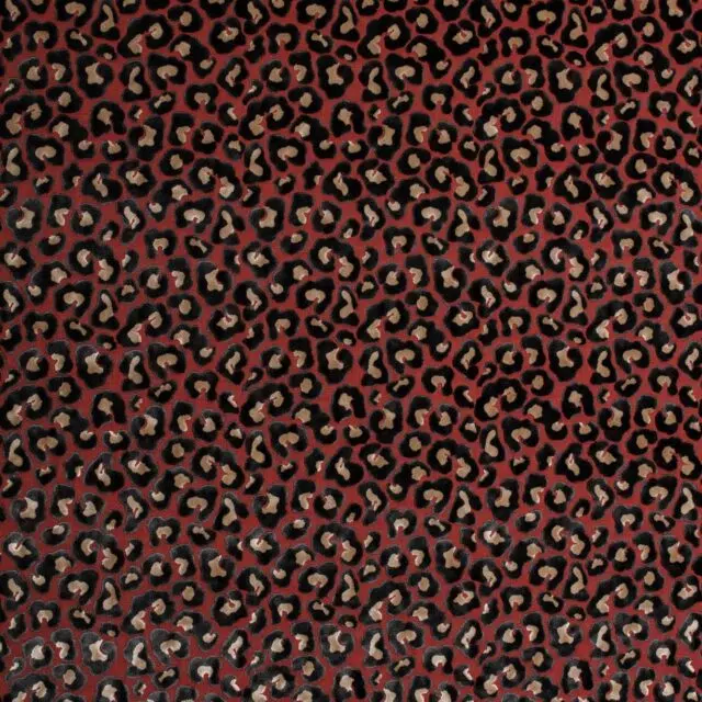 PARDUS - 13 Coral
