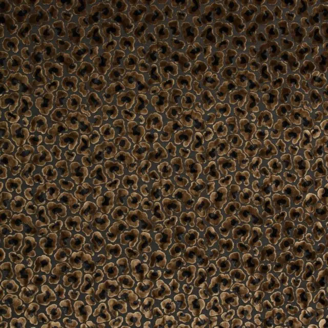 PARDUS - 32 Caramel