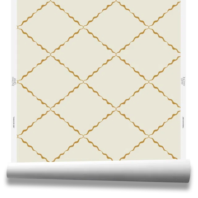 PARAGON - WP 40463 Qin
