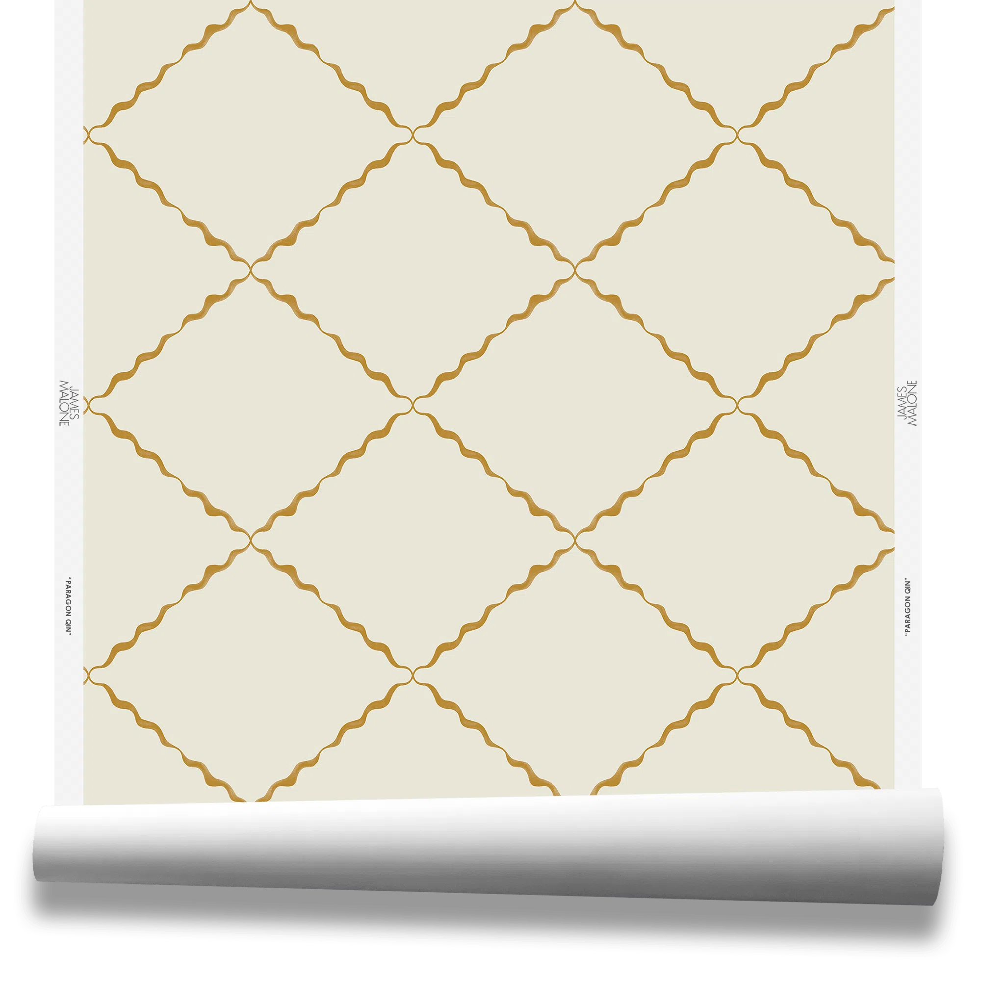 paragonwp40463qin.png