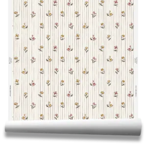 petuniastripewp40455rose