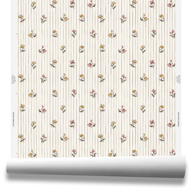PETUNIA STRIPE - WP 40455 Rose