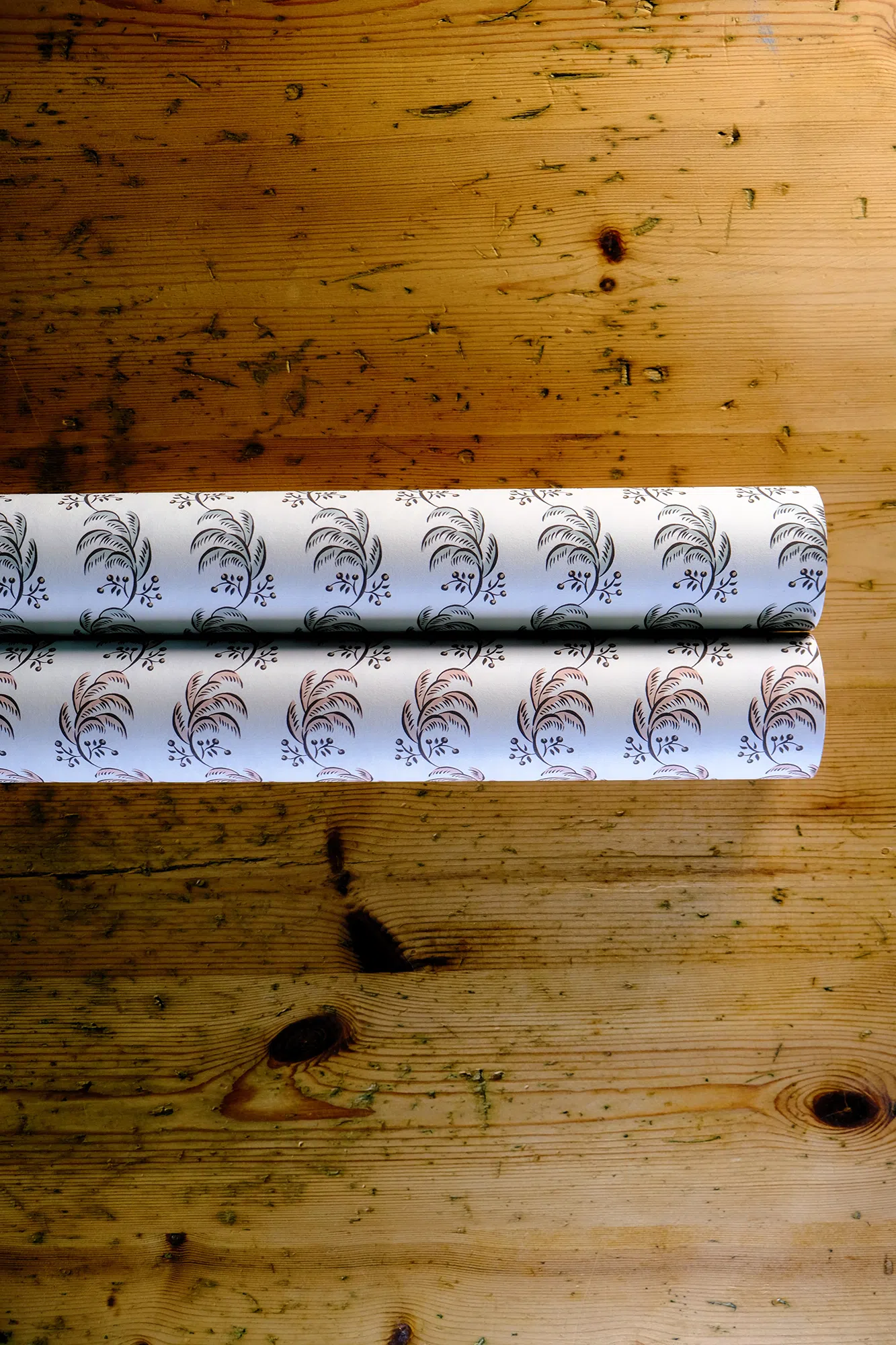 plume.png