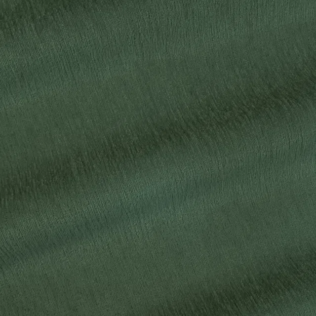 POLARIS - 015 Moss