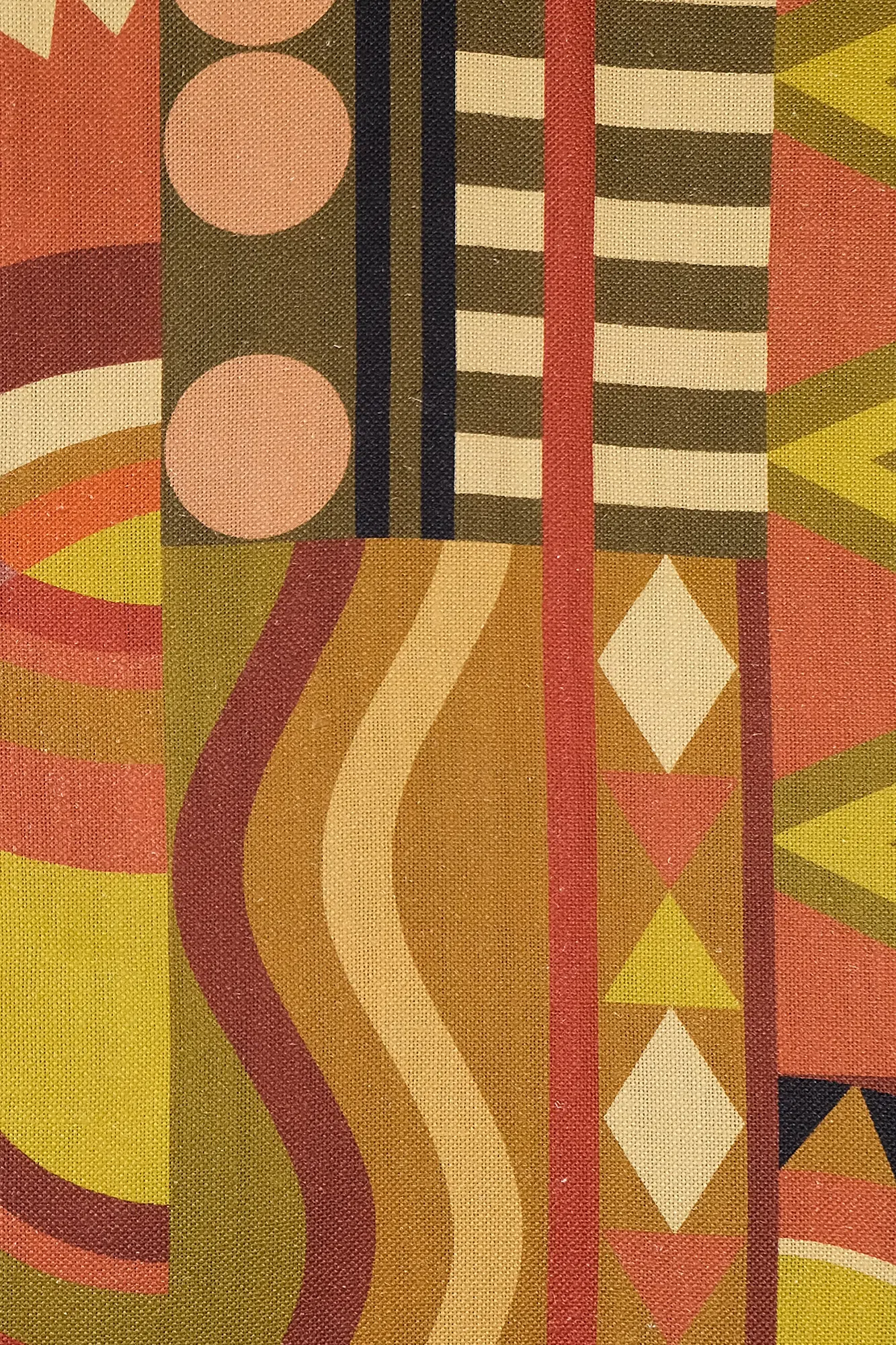 rossignolgolgdscf1672.png