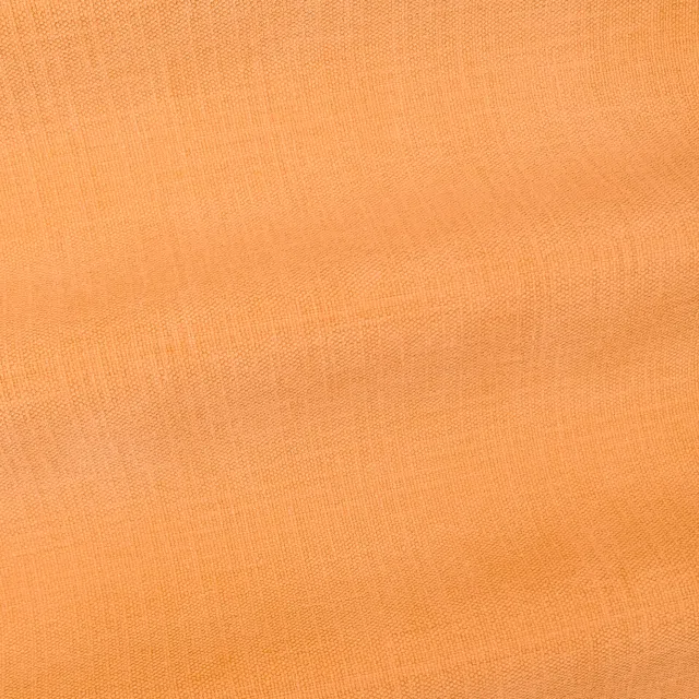 WASHED - 500 Albero
