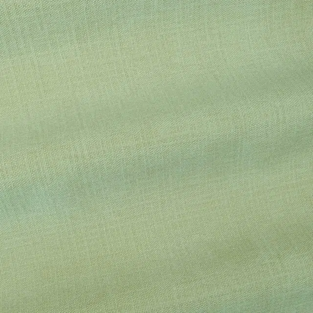 WASHED - 804 Musgo