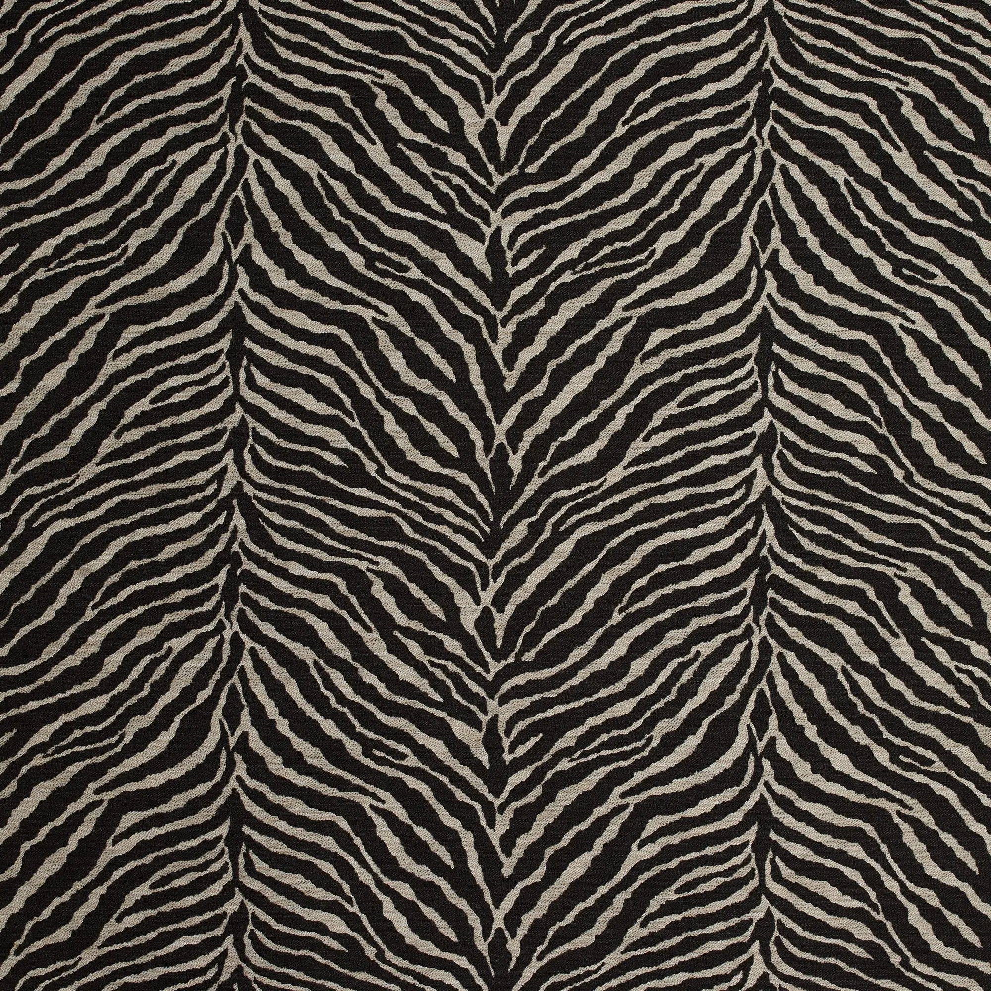zebra diseno completo 12381.jpg